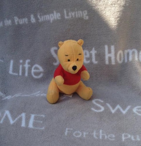 Peluche winnie doudou - peluche,